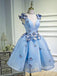 Beautiful Blue Appliqued Tulle Short Homingcoming Dresses, OL344